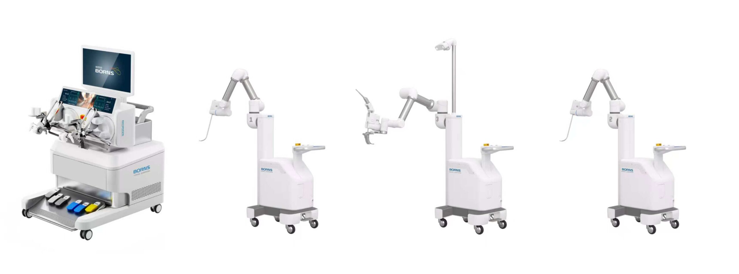 Chengdu Borns Medical Robotics Inc.